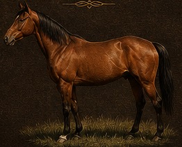 Brown Horse